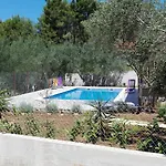Holiday