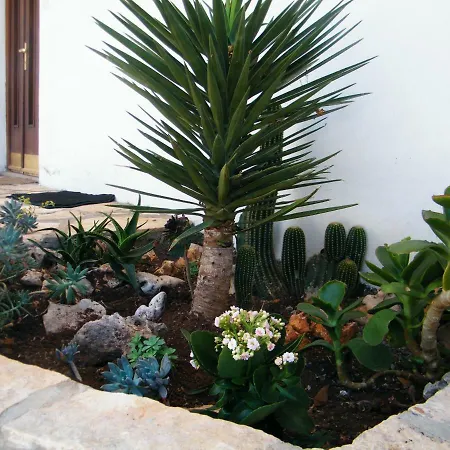 Holiday Home Vela Luka Vakantiehuis *