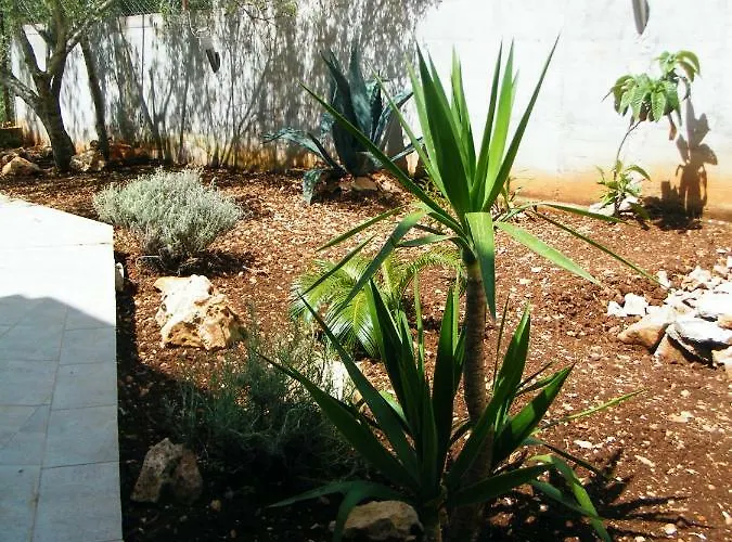 Holiday Home Vela Luka *