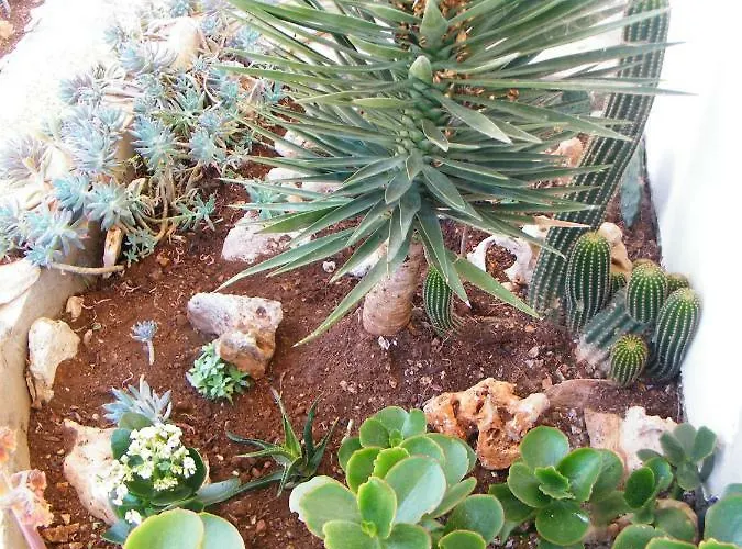 Nyaraló Holiday Home Vela Luka *